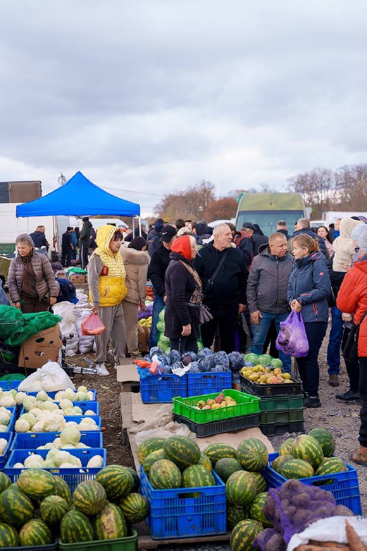 Продовольча безпека — важлива під час війни, в тому числі і цієї зими, яка може бути досить складною